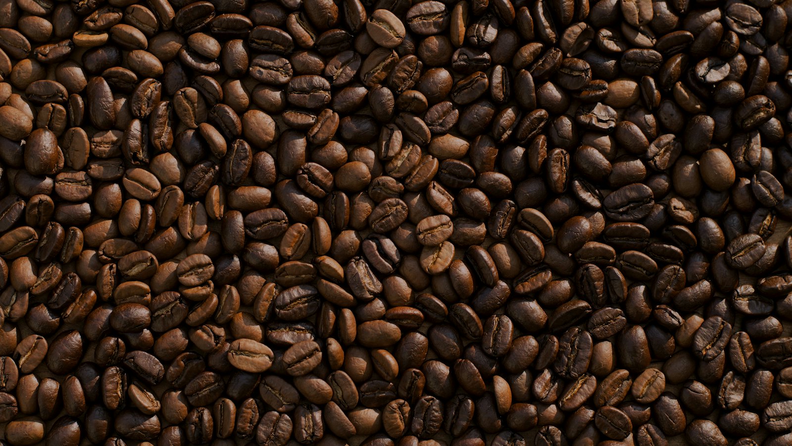 iCoffeeHub — Everything about coffee. One global hub.